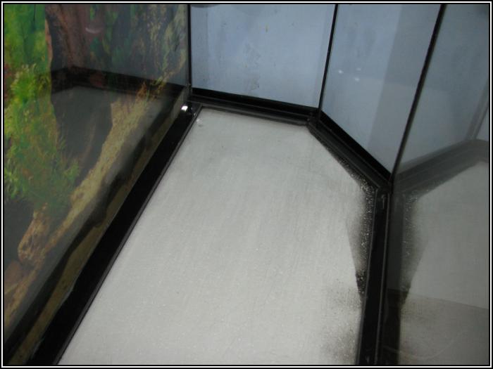 foto k příspěvku  od Kapka