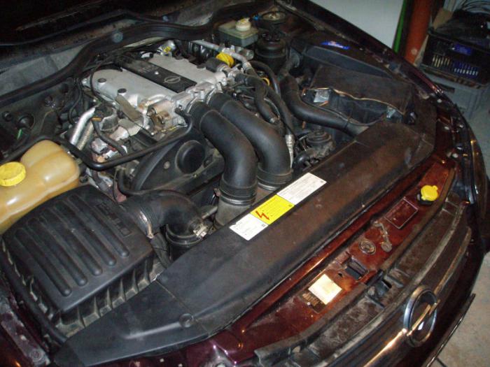 foto k příspěvku  od Arnie_one