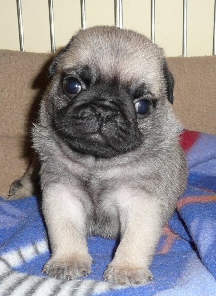 foto k příspěvku  od EFCA