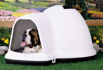 foto k příspěvku  od PL113