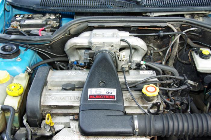 foto k příspěvku  od jdoizo