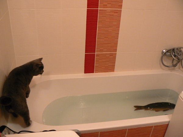 foto k příspěvku  od Milhauzz