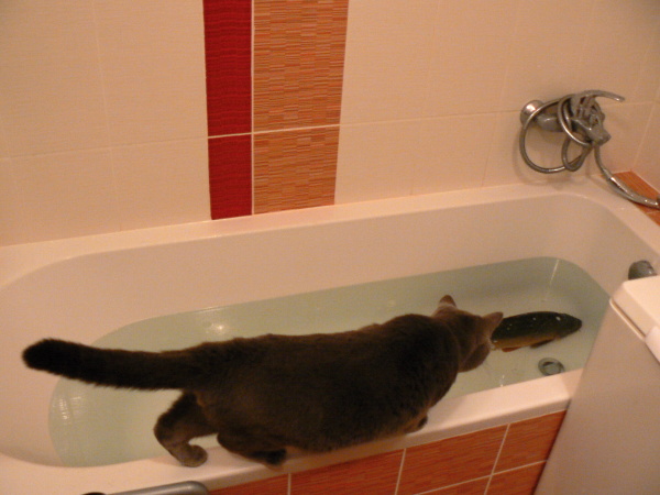 foto k příspěvku  od Milhauzz