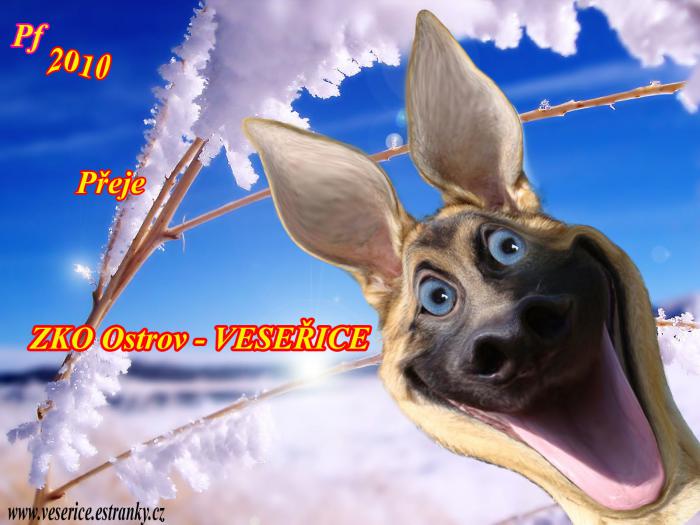 foto k příspěvku  od Martinec7