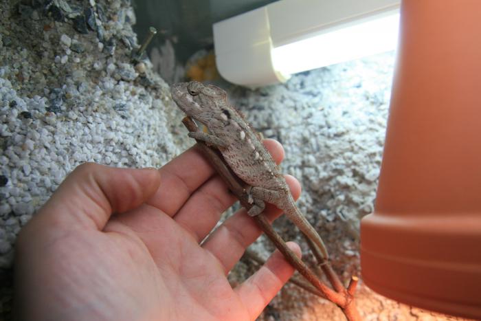 foto k příspěvku  od H-Honza