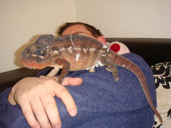 foto k příspěvku  od H-Honza