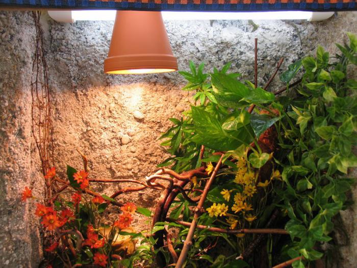 foto k příspěvku  od H-Honza