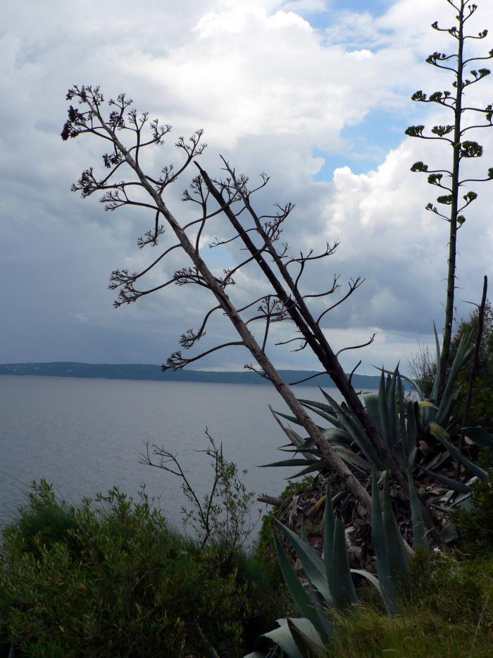 foto k příspěvku  od choze