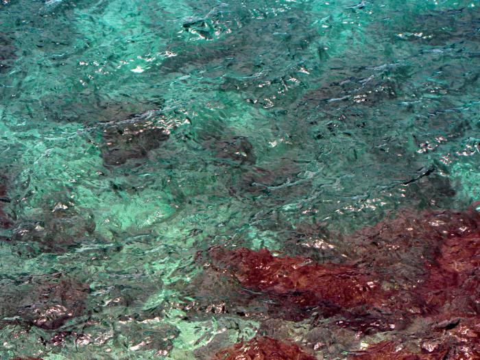 foto k příspěvku  od choze