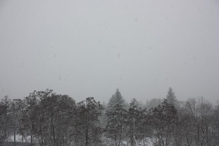 foto k příspěvku  od ibizman