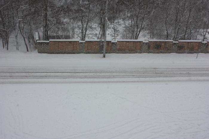 foto k příspěvku  od ibizman