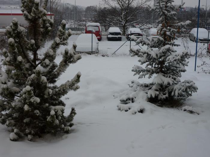 foto k příspěvku  od rover (WoodTech)