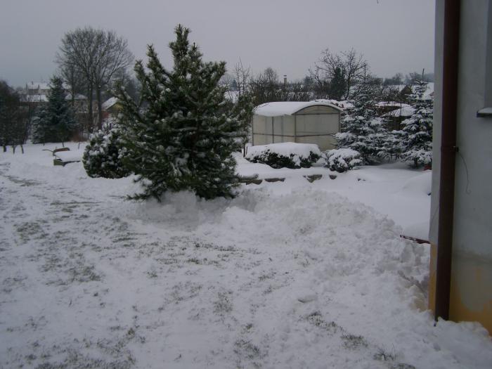 foto k příspěvku  od Kesam