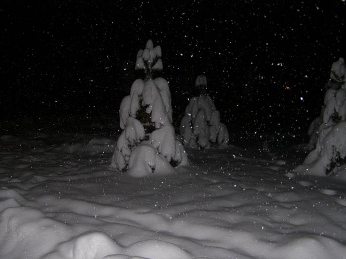 foto k příspěvku  od Freerider