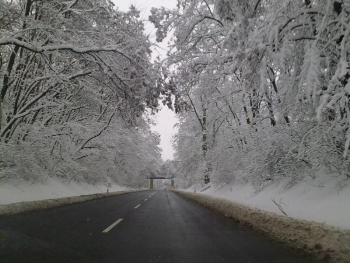 foto k příspěvku  od Hanys73