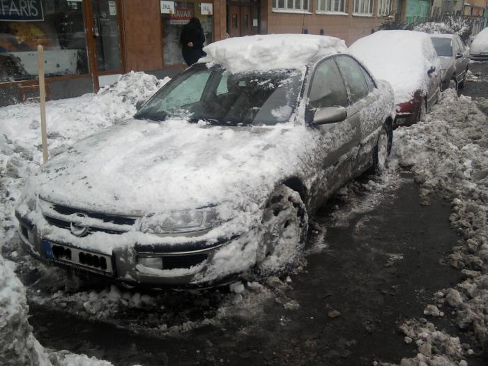 foto k příspěvku  od Lumík