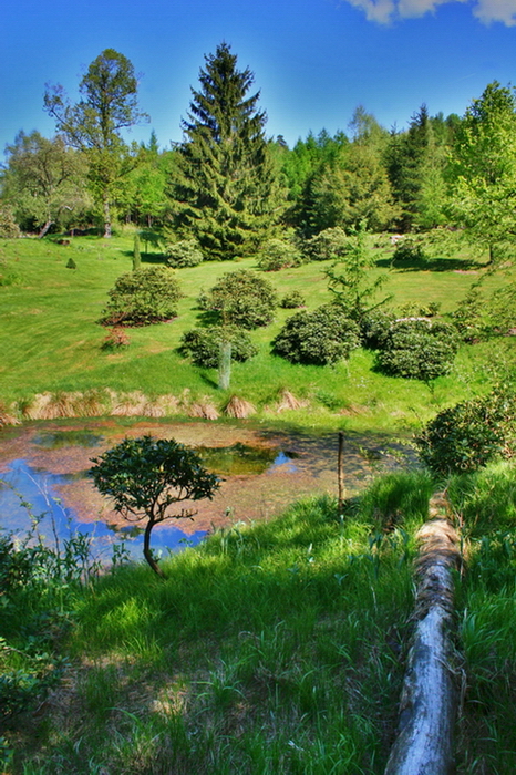 foto k příspěvku  od Crimson