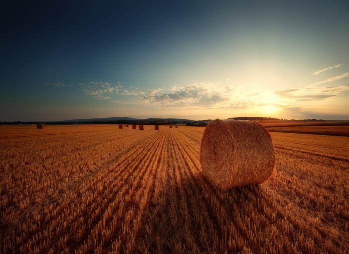 foto k příspěvku  od Kacko