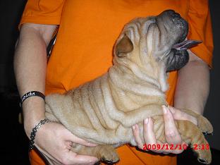 foto k příspěvku  od golfik69