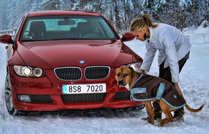 foto k příspěvku  od Martyn