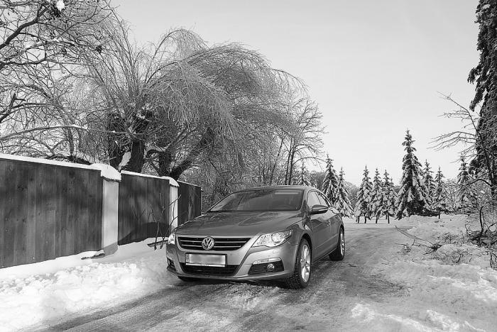 foto k příspěvku  od ps