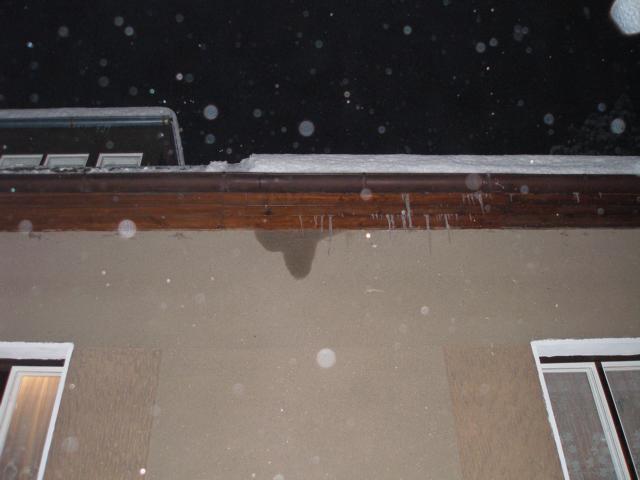 foto k příspěvku  od martin.dusa