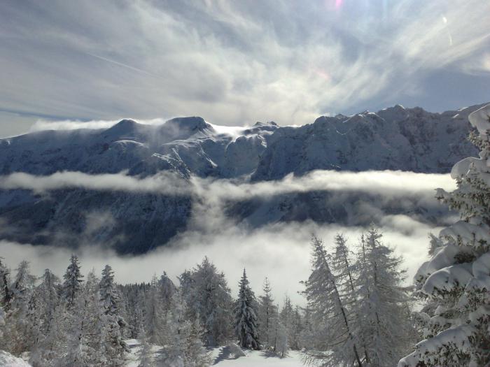 foto k příspěvku  od Timbo