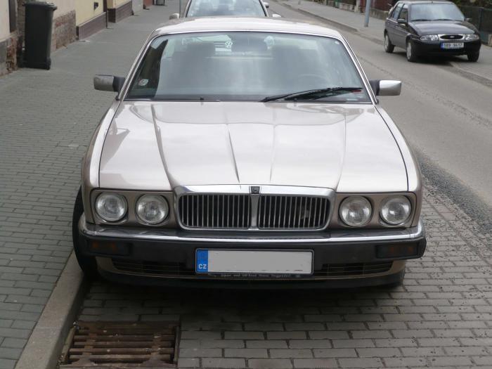 foto k příspěvku  od Steff