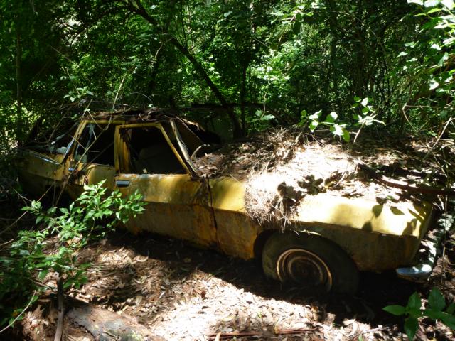 foto k příspěvku  od badczech