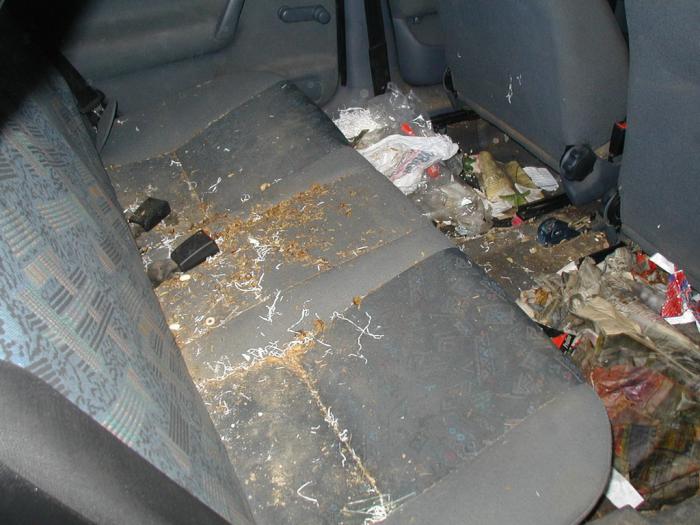 foto k příspěvku  od sotek