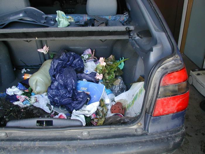 foto k příspěvku  od sotek