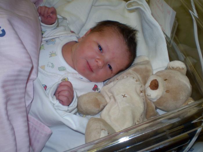 foto k příspěvku  od haskyvr6