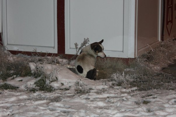 foto k příspěvku  od Briann