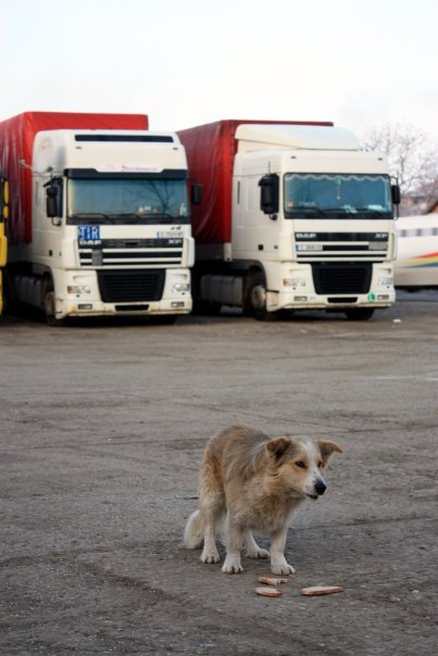 foto k příspěvku  od Briann