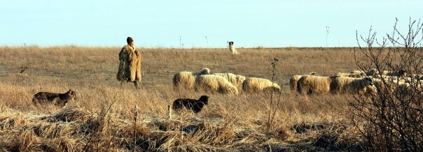 foto k příspěvku  od Briann