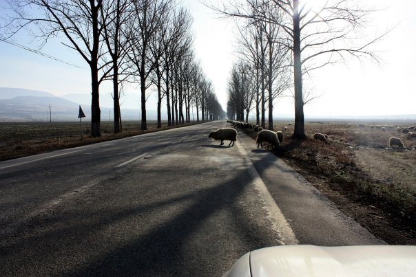 foto k příspěvku  od Briann