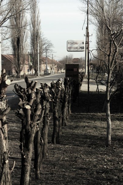 foto k příspěvku  od Briann