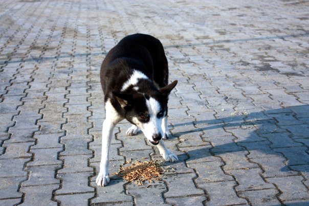 foto k příspěvku  od Briann