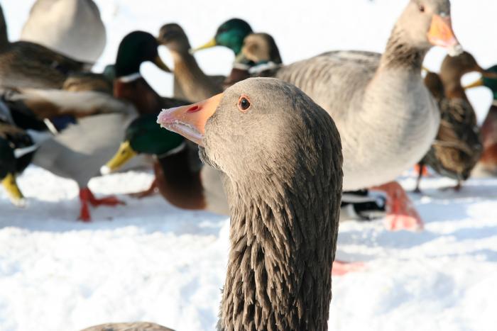 foto k příspěvku  od kral007 (eXtrem-audio.cz)