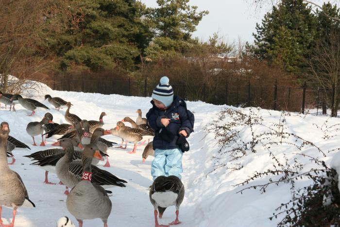 foto k příspěvku  od kral007 (eXtrem-audio.cz)