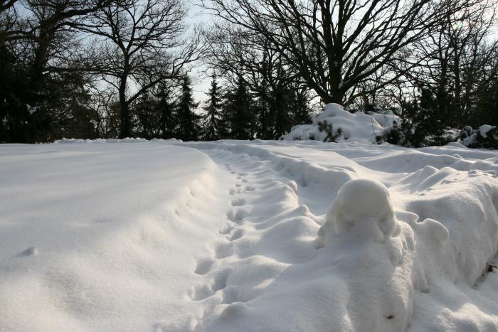 foto k příspěvku  od kral007 (eXtrem-audio.cz)