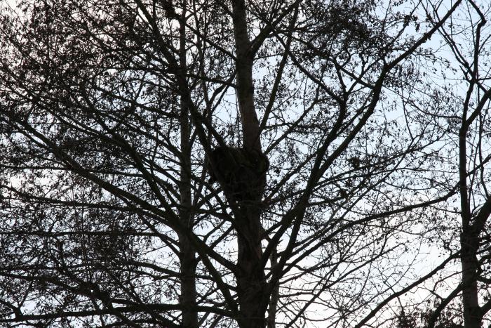 foto k příspěvku  od kral007 (eXtrem-audio.cz)