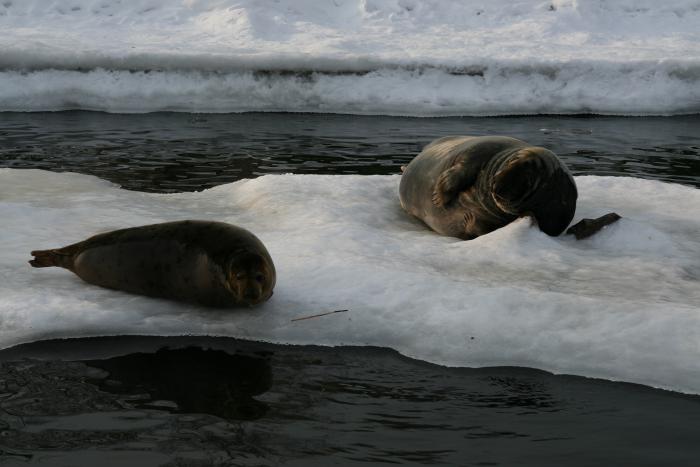 foto k příspěvku  od kral007 (eXtrem-audio.cz)