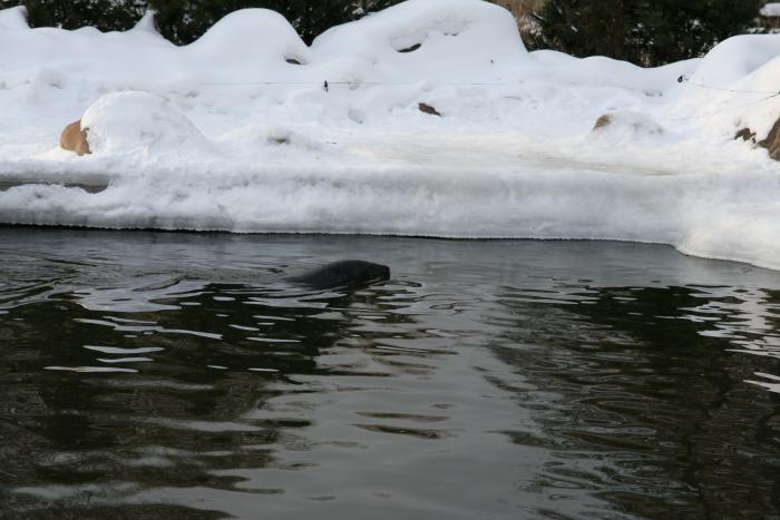foto k příspěvku  od kral007 (eXtrem-audio.cz)