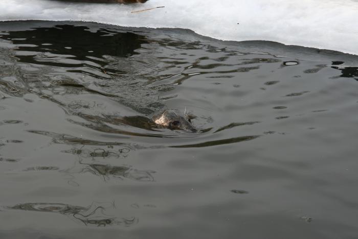 foto k příspěvku  od kral007 (eXtrem-audio.cz)