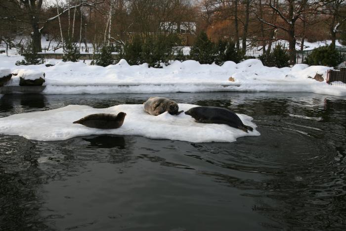 foto k příspěvku  od kral007 (eXtrem-audio.cz)