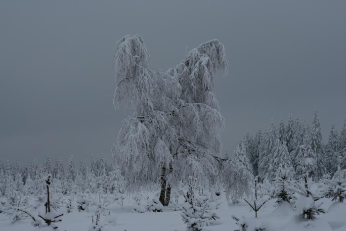 foto k příspěvku  od kral007 (eXtrem-audio.cz)