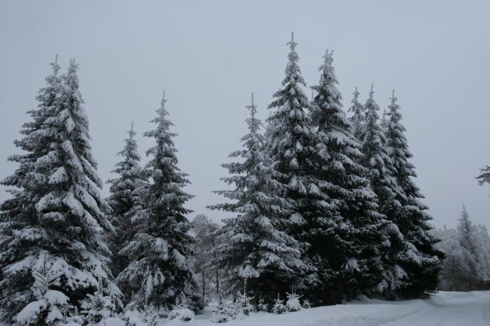 foto k příspěvku  od kral007 (eXtrem-audio.cz)