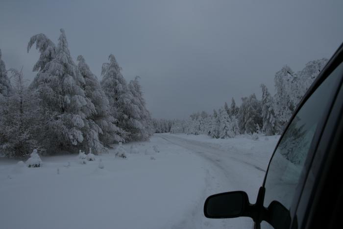 foto k příspěvku  od kral007 (eXtrem-audio.cz)