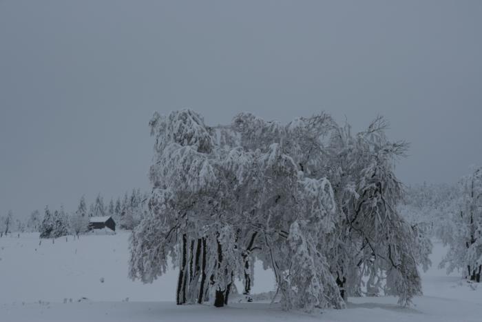 foto k příspěvku  od kral007 (eXtrem-audio.cz)